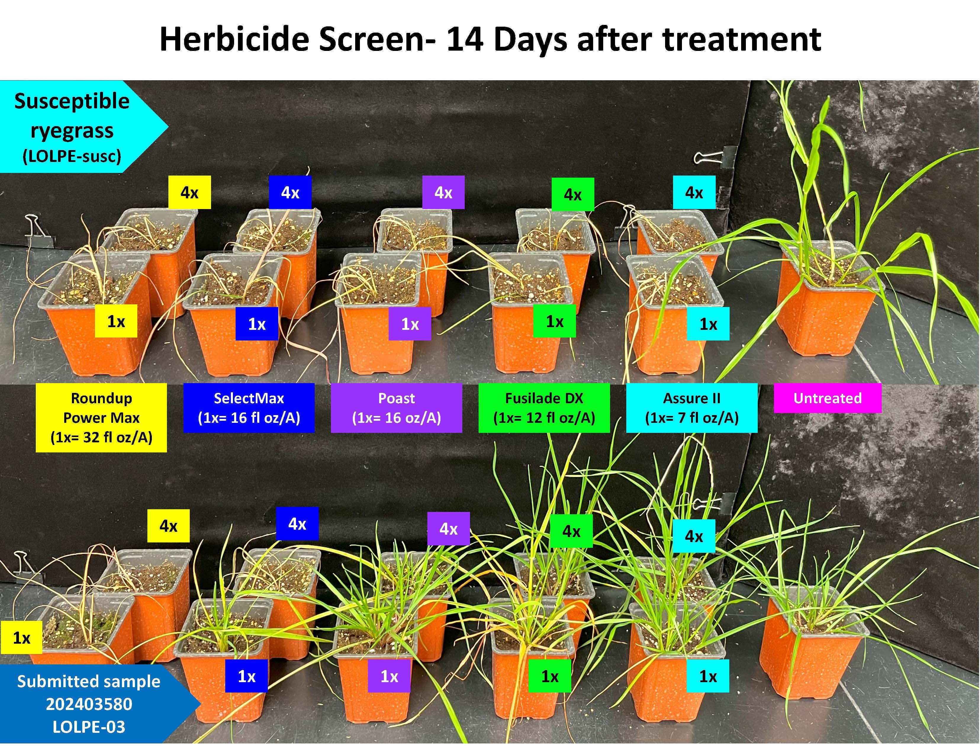 2025 MI Resistance update FIG2.jpg